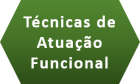 Técnicas de Atuação Funcional do Ministério Público de Minas Gerais - ACESSO RESTRITO
